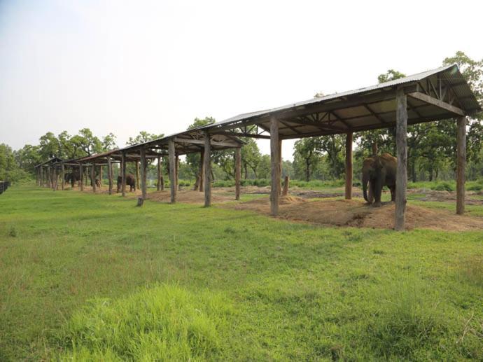 Hotel Royal Safari ソーラハ エクステリア 写真